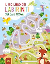 Il mio libro dei labirinti. Ediz. a colori