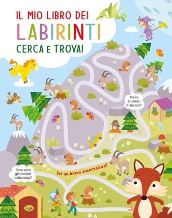 Il mio libro dei labirinti. Ediz. a colori  - Libro Grillo Parlante 2025, Conoscere | Libraccio.it