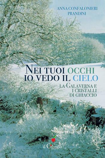 Nei tuoi occhi io vedo il cielo. La galaverna e i cristalli di ghiaccio - Anna Confalonieri Prandini - Libro Il Ciliegio 2025, Narrativa | Libraccio.it