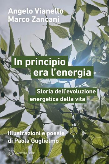 In principio era l’energia. Storia dell’evoluzione energetica della vita - Angelo Vianello, Marco Zancani, Marco Zancani - Libro Meltemi 2024, Linee | Libraccio.it