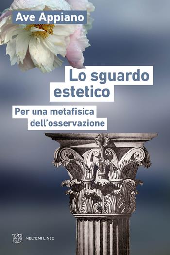 Lo sguardo estetico. Per una metafisica dell'osservazione - Ave Appiano - Libro Meltemi 2024, Linee | Libraccio.it