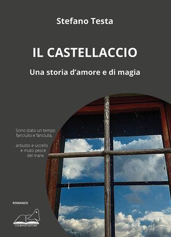 Il castellaccio. Una storia d'amore e di magia - Stefano Testa - Libro Calibano 2025 | Libraccio.it