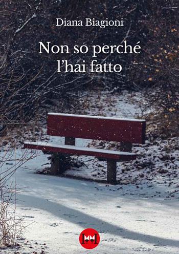 Non so perché l'hai fatto - Diana Biagioni - Libro Ivvi 2024, Poesia | Libraccio.it