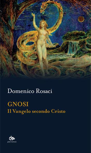 Gnosi. Il Vangelo secondo Cristo - Domenico Rosaci - Libro Editoriale Jouvence 2026, Sophia | Libraccio.it