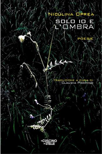 Solo io e l'ombra - Niculina Oprea - Libro Il Cuscino di Stelle 2024 | Libraccio.it