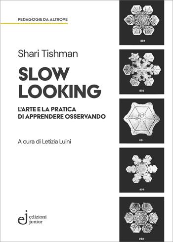 Slow looking. L'arte e la pratica di apprendere osservando - Shari Tishman - Libro Edizioni Junior 2026, Pedagogie da altrove | Libraccio.it