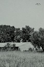 Studio Mc2aa. Forma relazione