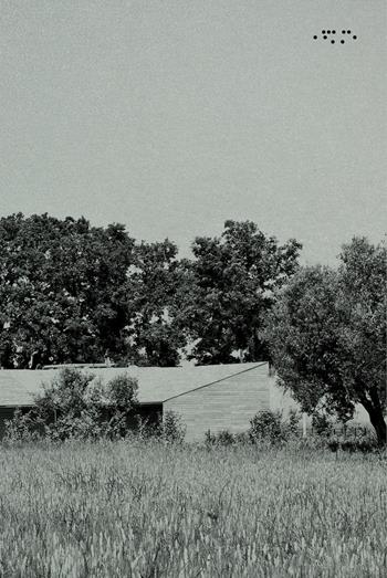 Studio Mc2aa. Forma relazione  - Libro LetteraVentidue 2025, Alleli/Projects | Libraccio.it