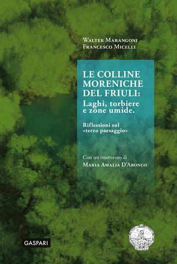 Le colline moreniche del Friuli. Laghi, torbiere e zone umide. Riflessioni sul «terzo paesaggio» - Walter Marangoni, Francesco Micelli - Libro Gaspari 2025, L' Accademia | Libraccio.it