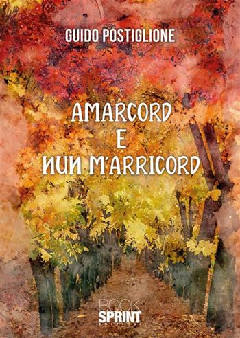 Amarcord e nun m’arricord - Guido Postiglione - Libro BooksprintEdizioni 2024 | Libraccio.it