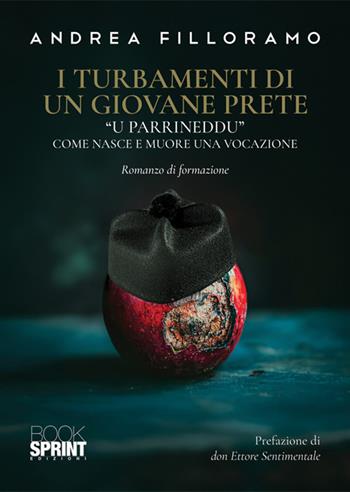 I turbamenti di un giovane prete - Andrea Filloramo - Libro BooksprintEdizioni 2025 | Libraccio.it