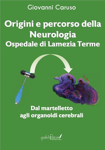 Origini e percorso della neurologia. Ospedale di Lamezia Terme. Dal martelletto agli organoidi cerebrali - Giovanni Caruso - Libro Grafichéditore 2025, Calliope | Libraccio.it