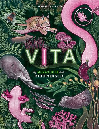 Vita. Le meraviglie della biodiversità. Album scoperte - Jennifer Smith - Libro L'Ippocampo 2025 | Libraccio.it