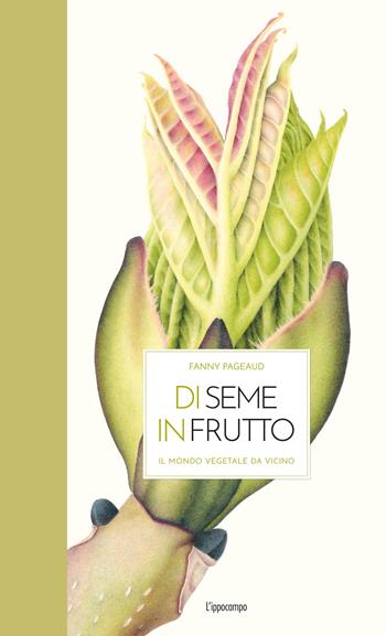 Di seme in frutto. Il mondo vegetale da vicino. Ediz. illustrata - Fanny Pageaud - Libro L'Ippocampo 2025 | Libraccio.it