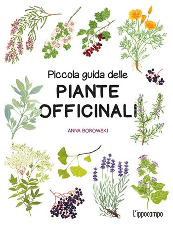 Piccola guida delle piante officinali. Ediz. a colori - Anna Borowski - Libro L'Ippocampo 2026 | Libraccio.it