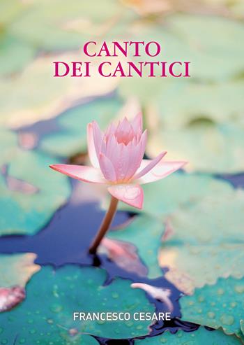 Canto dei cantici - Francesco Cesare - Libro Passione Scrittore selfpublishing 2024 | Libraccio.it