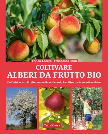 Coltivare alberi da frutto bio. Dall'albicocca alla vite, senza dimenticare i piccoli frutti e le varietà antiche - Enrico Accorsi, Francesco Beldì - Libro Terra Nuova Edizioni 2025, Coltivare secondo natura | Libraccio.it