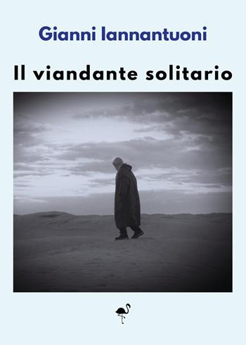 Il viandante solitario - Gianni Iannantuoni - Libro G.C.L. edizioni 2025 | Libraccio.it