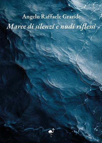 Maree di silenzi e nudi riflessi - Angelo Raffaele Grande - Libro G.C.L. edizioni 2026 | Libraccio.it