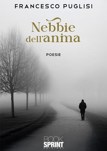 Nebbie dell'anima - Francesco Puglisi - Libro BooksprintEdizioni 2026 | Libraccio.it