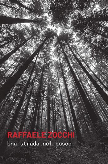 Una strada nel bosco - Raffaele Zocchi - Libro La valle del tempo 2026, La valle in giallo | Libraccio.it