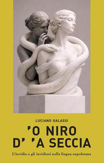 ’O niro d’'a seccia. L’invidia e gli invidiosi nella lingua napoletana - Luciano Galassi - Libro La valle del tempo 2026, Napoli. Hic et nunc, et tunc | Libraccio.it
