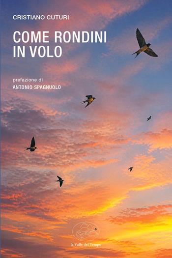 Come rondini in volo - Cristiano Cuturi - Libro La valle del tempo 2026, Frontiere della poesia contemporanea | Libraccio.it