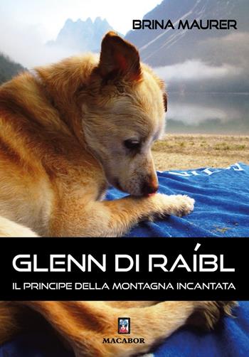 Glenn di Raibl. Il principe della montagna incantata - Brina Maurer - Libro Macabor 2025, Nodi | Libraccio.it