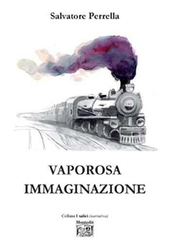 Vaporosa immaginazione - Salvatore Perrella - Libro Montedit 2022, I salici | Libraccio.it