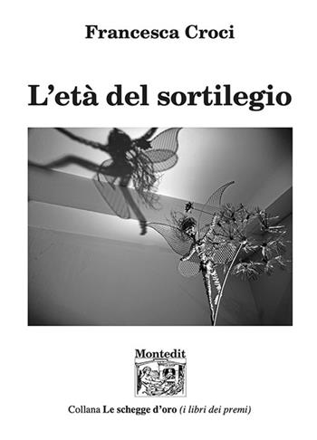 L'età del sortilegio - Francesca Croci - Libro Montedit 2023, Le schegge d'oro (i libri dei premi) | Libraccio.it