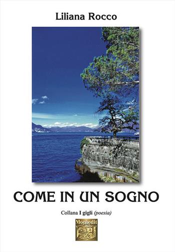 Come in un sogno - Liliana Rocco - Libro Montedit 2023, I gigli | Libraccio.it