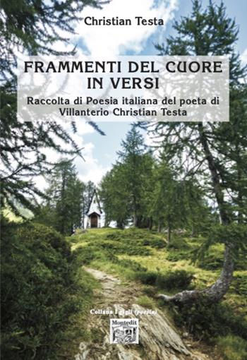 Frammenti del cuore in versi. Raccolta di poesia italiana del poeta di Villanterio Christian Testa - Christian Testa - Libro Montedit 2025, I gigli | Libraccio.it