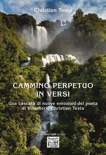 Cammino perpetuo in versi - Christian Testa - Libro Montedit 2026, I gigli | Libraccio.it