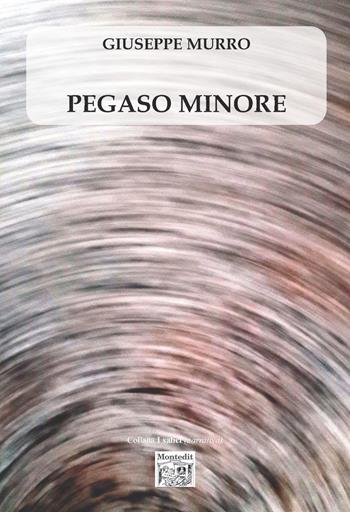 Pegaso minore - Giuseppe Murro - Libro Montedit 2026, I salici | Libraccio.it