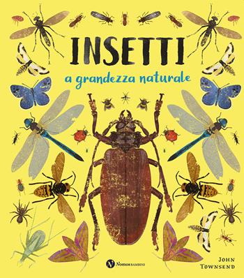 Insetti. A grandezza naturale. Ediz. a colori - John Townsend - Libro Nomos Edizioni 2023, Nomos bambini | Libraccio.it