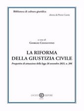 La riforma della giustizia civile. Prospettive di attuazione della legge 26 novembre 2021, n. 206