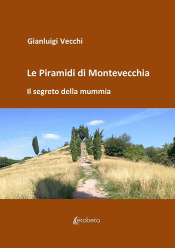 Le piramidi di Montevecchia. Il segreto della mummia - Gianluigi Vecchi - Libro EBS Print 2022 | Libraccio.it