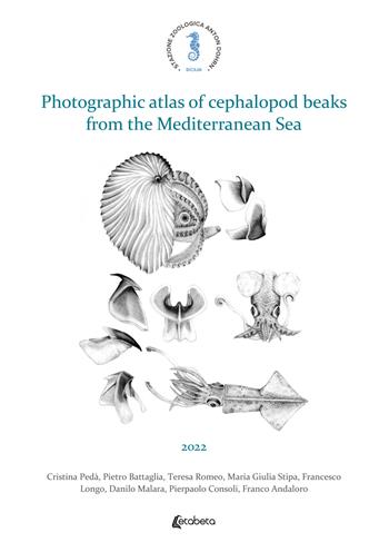 Photographic atlas of cephalopod beaks from the Mediterranean Sea - Cristina Pedà, Pietro Battaglia, Teresa Romeo - Libro EBS Print 2022 | Libraccio.it