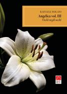 Occhi negli occhi. Angelica. Vol. 3 - Raffaele Isolato - Libro Brè 2023, Narrativa | Libraccio.it