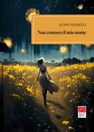 Non conosco il mio nome - Guido Smadelli - Libro Brè 2023, Narrativa | Libraccio.it