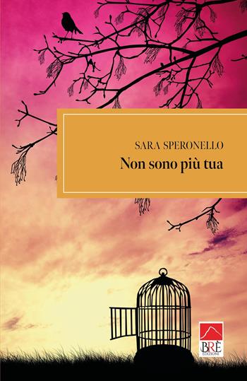 Non sono più tua - Sara Speronello - Libro Brè 2023, Brenar. Narrativa | Libraccio.it