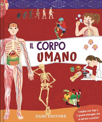 Il corpo umano. Ediz. a colori  - Libro Dami Editore 2023, Scienza e natura | Libraccio.it