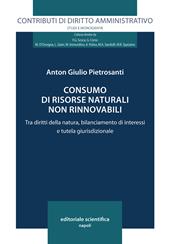 Consumo di risorse naturali non rinnovabili. Tra diritti della natura, bilanciamento di interessi e tutela giurisdizionale