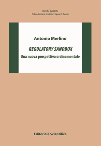 Regulatory sandbox. Una nuova prospettiva ordinamentale - Antonio Merlino - Libro Editoriale Scientifica 2022, Ricerche giuridiche | Libraccio.it