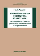 Contributo allo studio dell'effettività dei diritti sociali. Decisioni pubbliche e sindacato giurisdizionale all'epoca del ritorno al bisogno del welfare