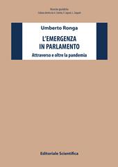 L' emergenza in parlamento. Attraverso e oltre la pandemia