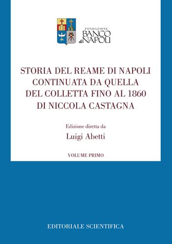 Storia del Reame di Napoli continuata da quella del Colletta fino al 1860 di Niccola Castagna. Vol. 1  - Libro Editoriale Scientifica 2022, Fondazione Banco di Napoli. Fonti | Libraccio.it