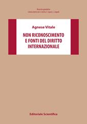 Non riconoscimento e fonti del diritto internazionale