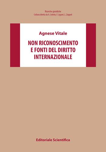 Non riconoscimento e fonti del diritto internazionale - Agnese Vitale - Libro Editoriale Scientifica 2023, Ricerche giuridiche | Libraccio.it
