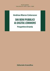 Dai beni pubblici ai digital commons. Prospettive di tutela